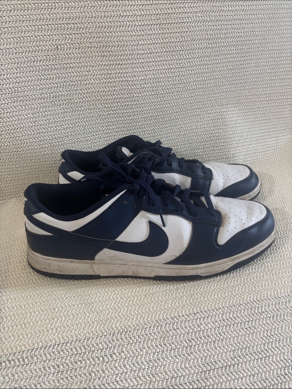 Nike Navy and White Low-Top Sneakers